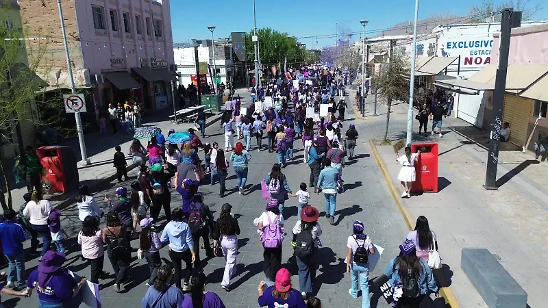 MARCHA INCLUYENTE 2026 8M
